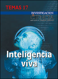 1999 Inteligencia Viva